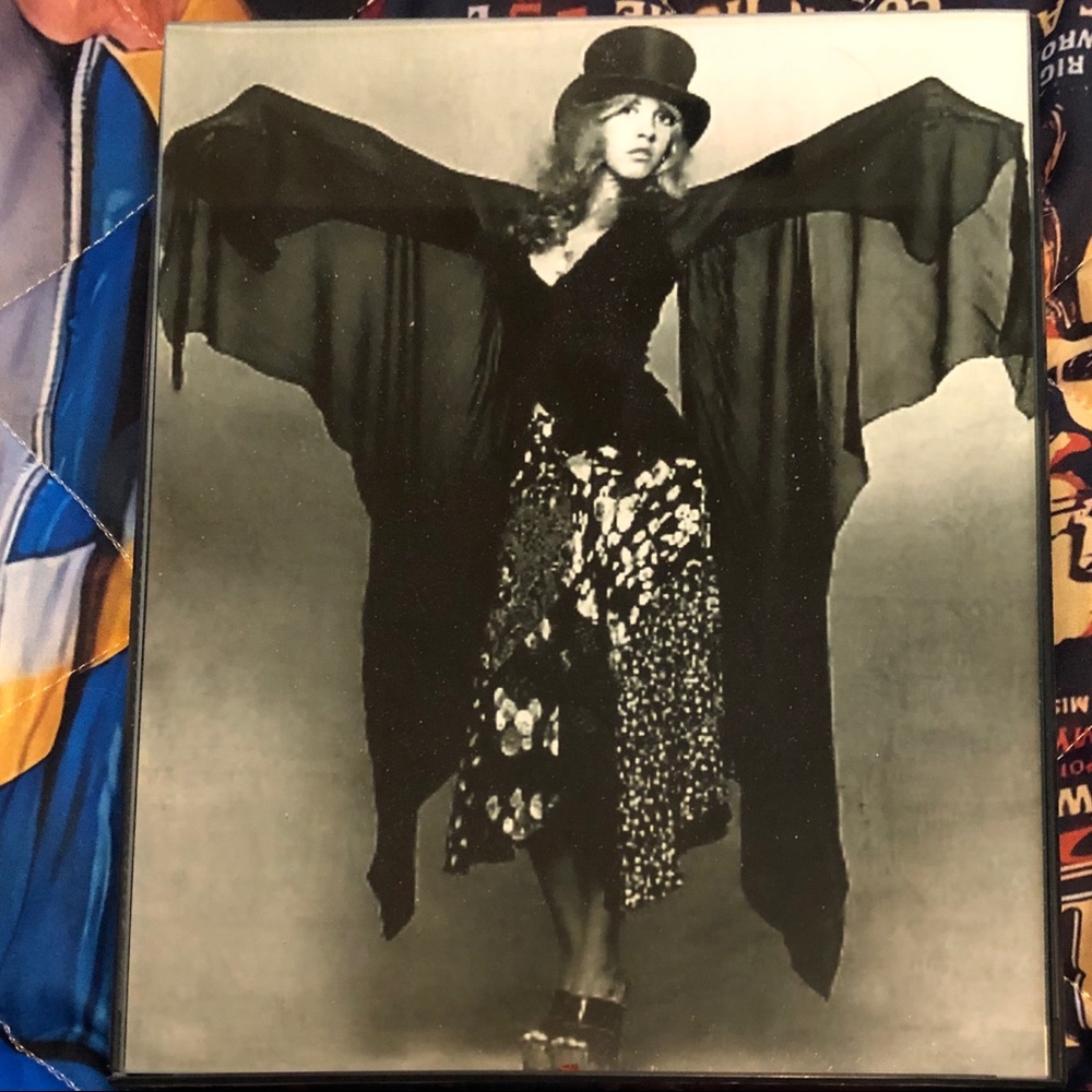 STEVIE NICKS 8X10 Framed Publicity Photo